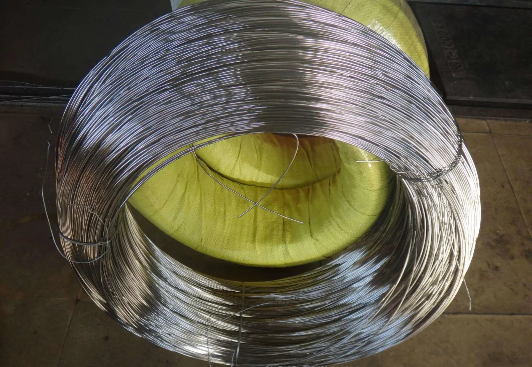 China Products/Suppliers. Hot/Electro DIP Galvanized Steel Wire Low Carbon Iron Wire for Mesh Chinese Manufacturer Best Price 0.5-5.0mm