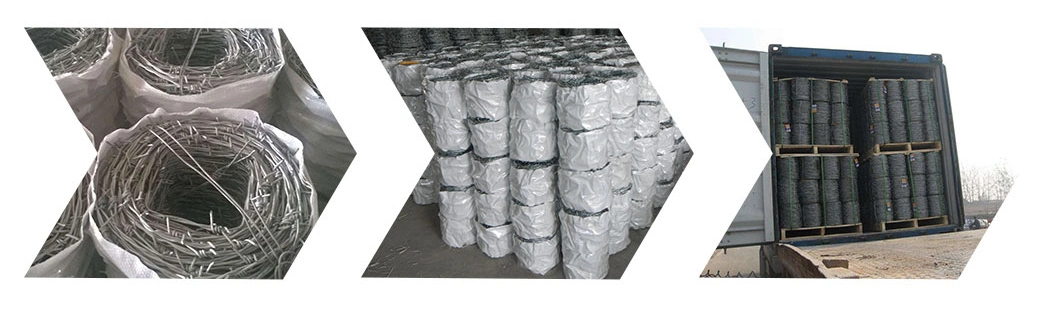 PE Barbed Mesh Fence Corrosion Resistant PVC Coated Barbed Wire with ISO for Secure The Top of The Walls