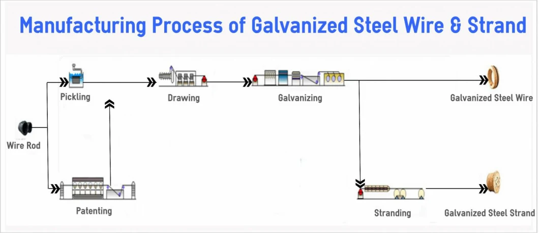 Electro Galvanized Steel Wire 12/ 16/ 18 Gauge Electro Galvanized Gi Iron Binding Wire Made in China