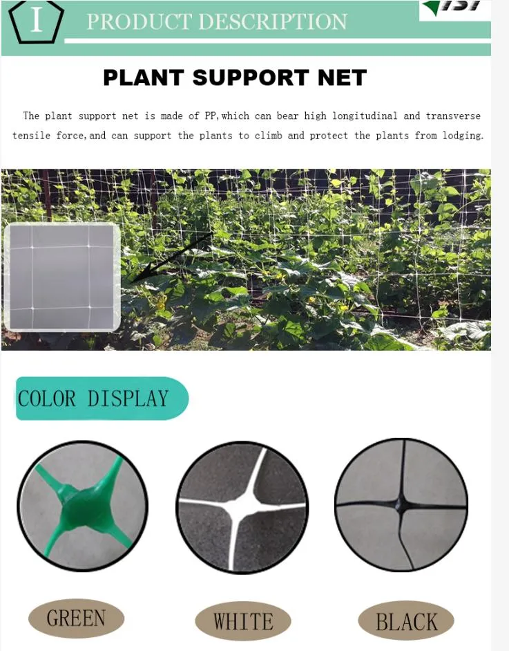 PP Plastic Plant Support Climbing Net Garden Fasten Trellis Net for Bean Cucumber Agriculture