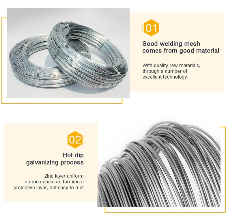 Electro Galvanized Steel Wire 12/ 16/ 18 Gauge Electro Galvanized Gi Iron Binding Wire Made in China