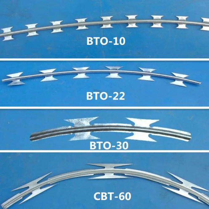 Hot-Dipped Galvanized /Powder Coated Wall Spikes /Razor Wire/Barbed Wire