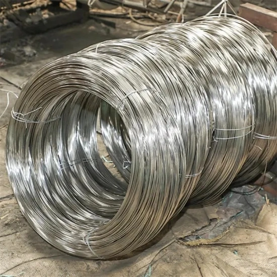 China Products/Suppliers. Hot/Electro DIP Galvanized Steel Wire Low Carbon Iron Wire for Mesh Chinese Manufacturer Best Price 0.5-5.0mm