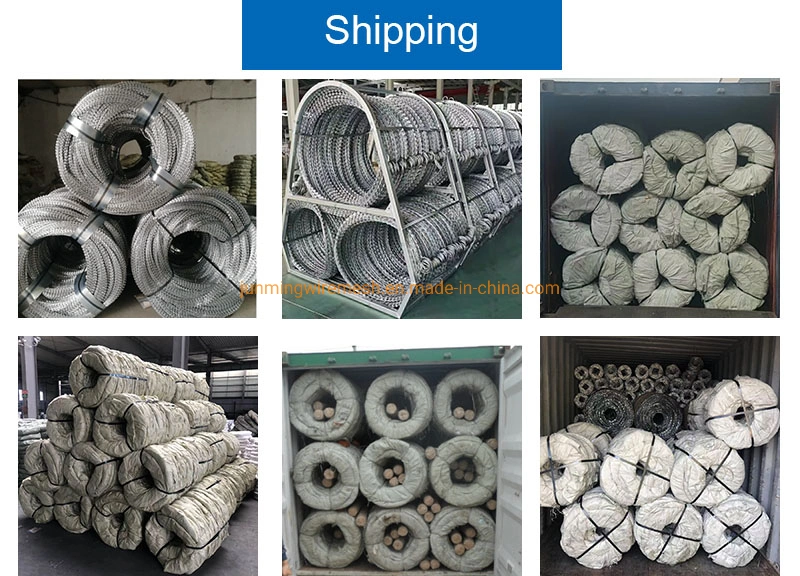 Direct Manufacturer Galvanized PVC Stainless Stee Razor Barbed Wire/Concertina Blade Fencing Security Wire Roll Price for Farm Prison Safety Fence Philippines