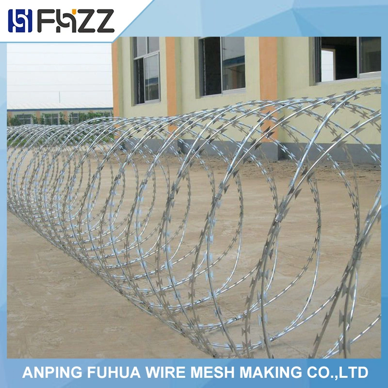 Hot Galv. Security Fence /Razor Barbed Wire for Wall or Borderline