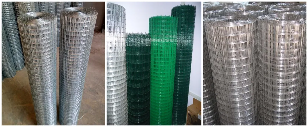 Galvanized Powder Coated Welded Wire Mesh Stainless Steel Wire Mesh