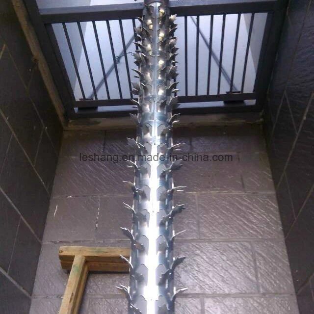 Hot-Dipped Galvanized /Powder Coated Wall Spikes /Razor Wire/Barbed Wire