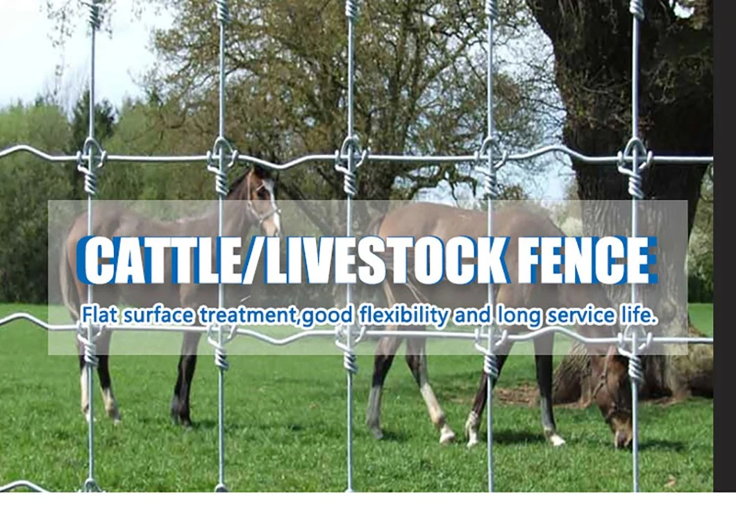 High Quality Farm Fence for Livestock Fencing Hot Dipped Galvanized Field Fence