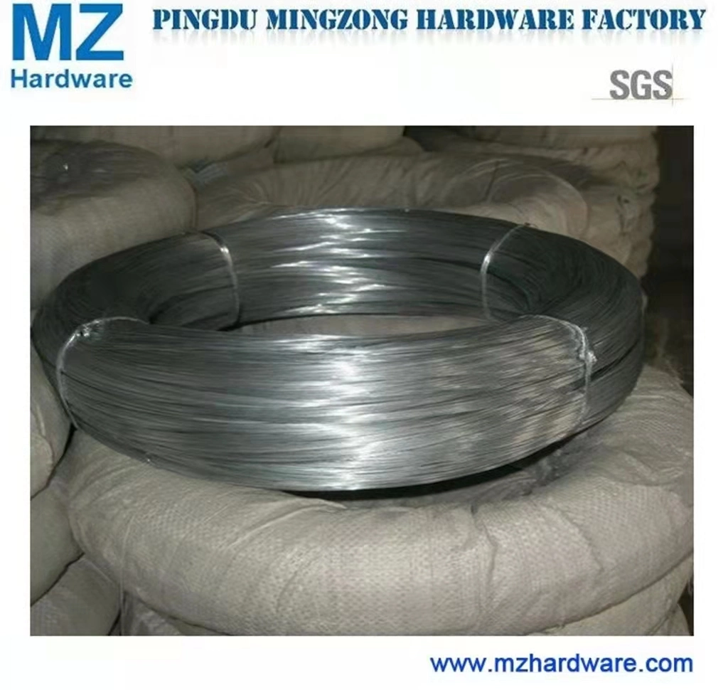 Electro Galvanized Iron Binding Wire for South Afica