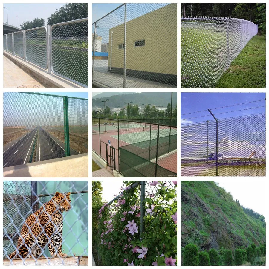 3.0mm Galvanized Chain Link Fence Diamond Mesh Fence in Good Price