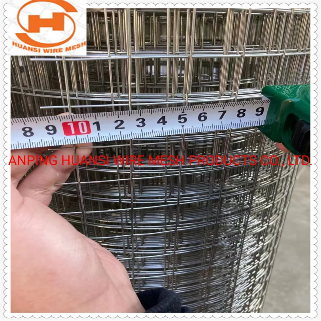 Stainless Steel/PVC Coated/Galvanized Welded Wire Mesh