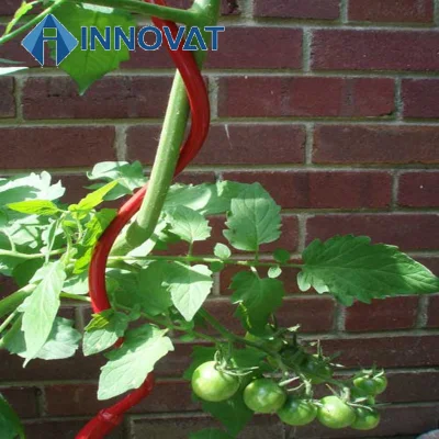 Alambre de soporte de crecimiento de planta de estaca espiral de crecimiento de tomate recubierto de PVC