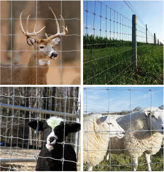 Valla de granja de alta calidad para cercado de ganado Valla de campo galvanizada por inmersión en caliente